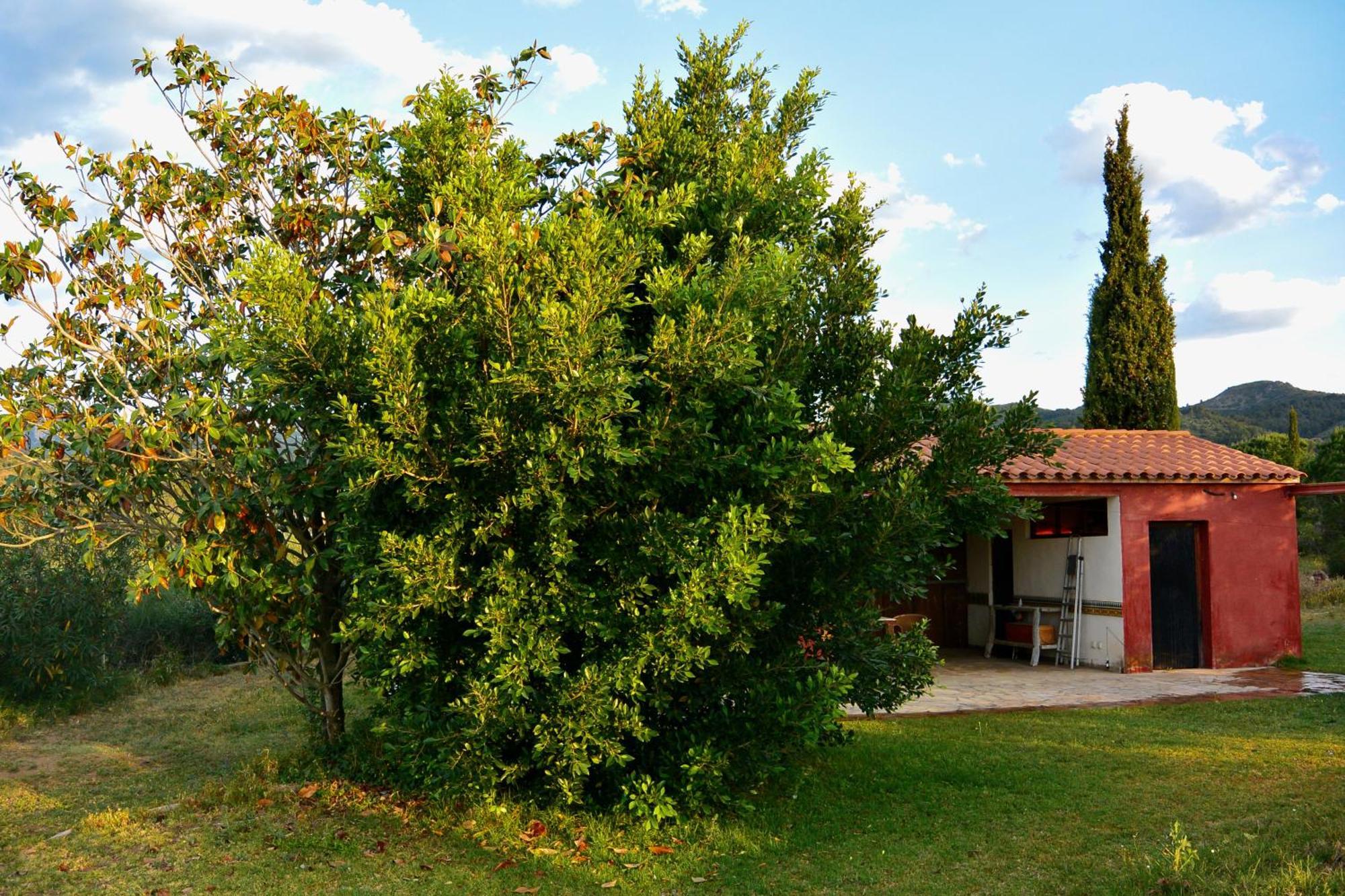 L'Albaida, Tranquility, Views Of Sea And Mountains Leilighet Vilanova de Escornalbou Rom bilde